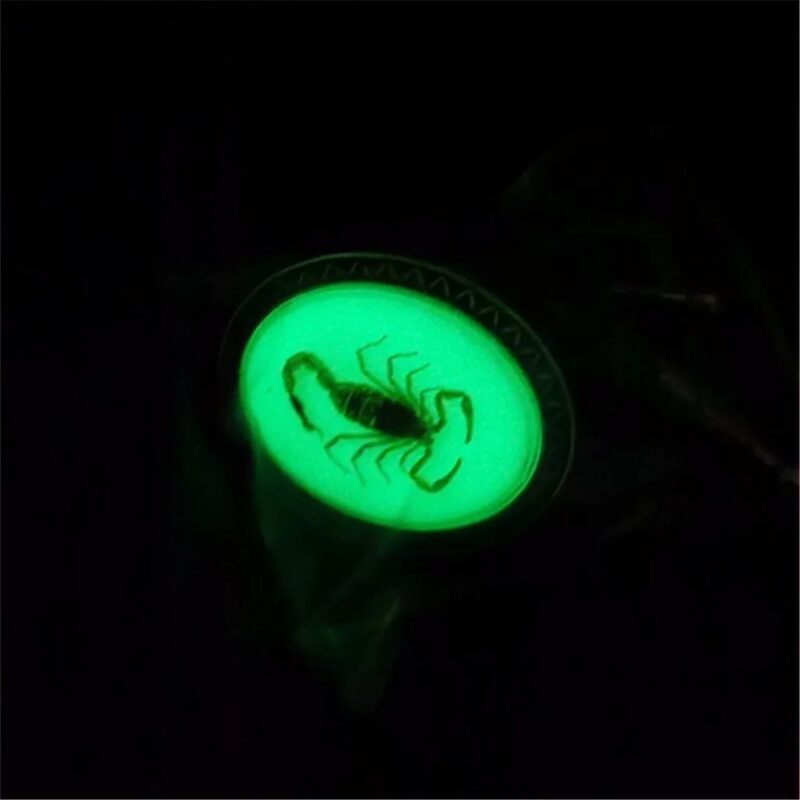 Glow in the Dark Scorpion Bolo Tie for Men, Western Cowboy Necktie with Real Scorpion - Image 4